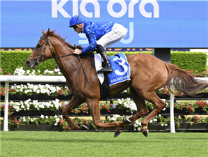 「动心」 「动心」