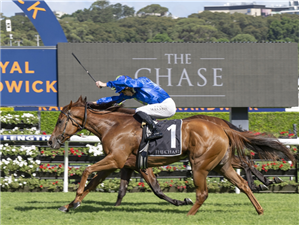 「鬼迷心窍」夺冠包围锦标赛