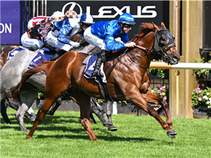 「坦提里斯」夺冠黑色鱼子酱闪电锦标赛