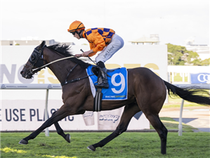 「哇哇呼声」夺冠唐卡斯特预赛