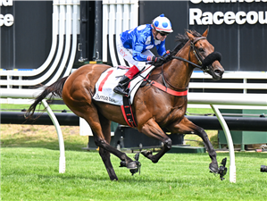 「阿塔基的信」夺冠在澳洲考菲尔德赛马场上举办的杰弗里贝曼锦标赛（Geoffrey Bellmaine Stakes）