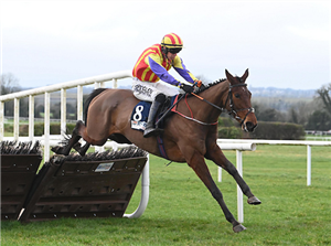 ZANOOSH winning the Apple's Jade Mares Novice Hurdle at Navan in Ireland.