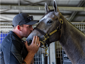 「摘星勇骥」之女卖出阿德莱德周岁马拍卖会首日最高价