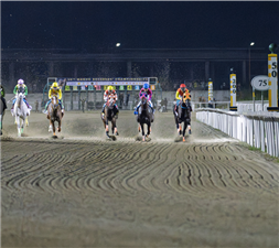 PJC - Racing Into the Year Of The Horse