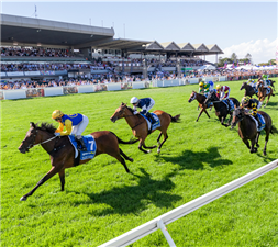 Morphettville Racecourse.