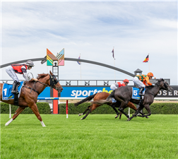 在阿德莱德的莫费特维尔公园马场举办的比赛