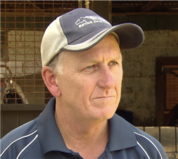 Trainer : BRYAN DAIS