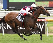 Avionics comes off a good race at Flemington<br>Photo by Racing and Sports