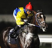 Better Than Ever winning the Group 1 Singapore Guineas<br>Photo by Singapore Turf Club