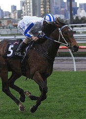 Doubtful Jack starred on Finals Day 2010<br>Photo by Racing and Sports