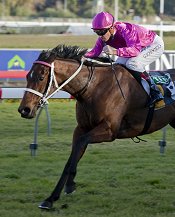 Dystopia wins at Randwick<br>Photo by Racing and Sports