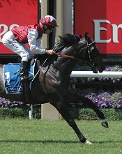 Kidnapped did the Carbine Club/Guineas double<br>Photo by Racing and Sports