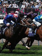 Headway won in a very tight finish<br>Photo by Racing and Sports