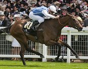 Goldikova winning the Queen Anne Stakes at Royal Ascot