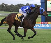 Lakedro has been backed off his trial<br>Photo by Racing and Sports