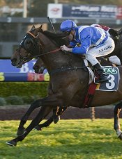 Landlocked should enjoy the trip<br>Photo by Racing and Sports