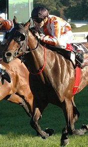 Ortensia has won the Winterbottom before<br>Photo by Racing and Sports