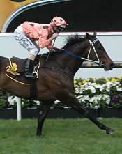 Black Caviar won on this day two years ago<br>Photo by Racing and Sports