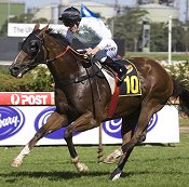 Monton has won twice first-up and could be ready to bounce back after winning his 874m trial at Randwick<br>Photo by Racing and Sports