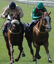Collier Hill and Kastoria at the Curragh<br>Photo by Racing and Sports