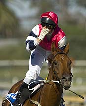 Pompeii Ruler did the job at Caulfield<br>Photo by Bronwen Healy