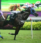 Powerful Ruler<br>Photo by Singapore Turf Club