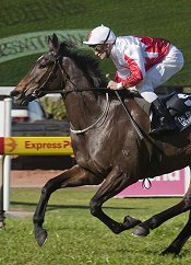 Sienna Red wins on debut at Rosehill<br>Photo by Racing and Sports