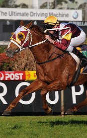 Strike One is a real stayer<br>Photo by Racing and Sports