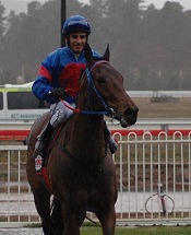 Neat Work and Jeff Penza return to scale after winning the 2006 Tony Campbell Cup at Canberra Acton track.