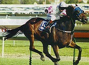 Former great, Might and Power, won the Doomeben Cup in 1998<br>Photo by Bronwen Healy<br>Photo by Racing and Sports