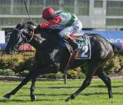Consistent galloper Vilakazi Street<br>Photo by Racing and Sports