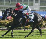 Vilakazi Street winning at Canterbury<br>Photo by Racing and Sports