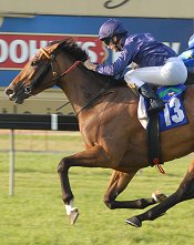 Lovemelikearock was one of the few filly winners<br>Photo by Racing and Sports