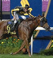 Gold Trail returns off a long break<br>Photo by Racing and Sports