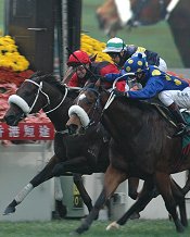 J J The Jet Plane wins HK Sprint<br>Photo by Racing and Sports