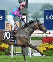 Risky Business and Glen Boss winning the 2010 Longines Singapore Gold Cup.<br>Photo by Racing and Sports