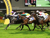 Master Viking winning the KAM TIN RIVER HANDICAP Master Viking winning the KAM TIN RIVER HANDICAP