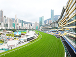 Racecourse : Happy Valley Racecourse : Happy Valley