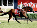 Booker wins the Oakleigh Plate