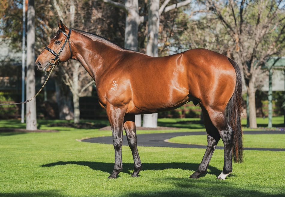 Merchant Navy: Coolmore