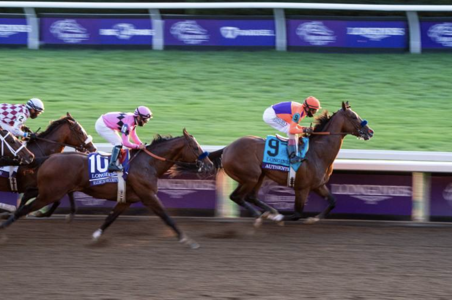 Authentic. Picture: Breeders' Cup.