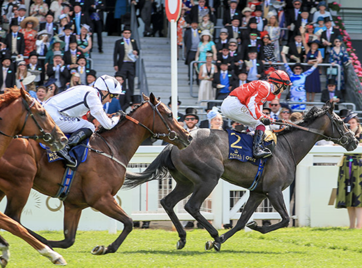 Eldrickjones running second in the Coventry Stakes. Picture: Tattersalls.