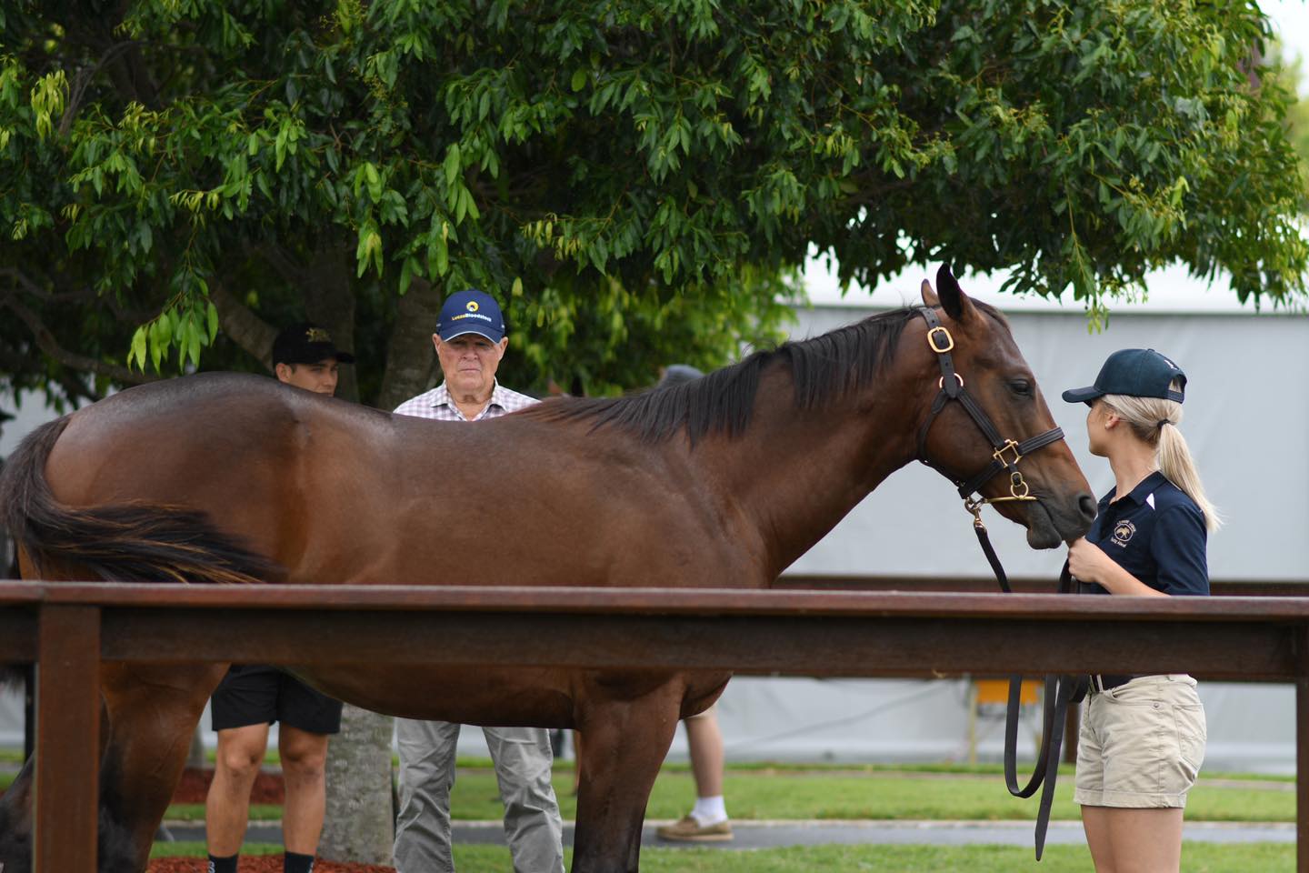 Inspections. Picture: Magic Millions.