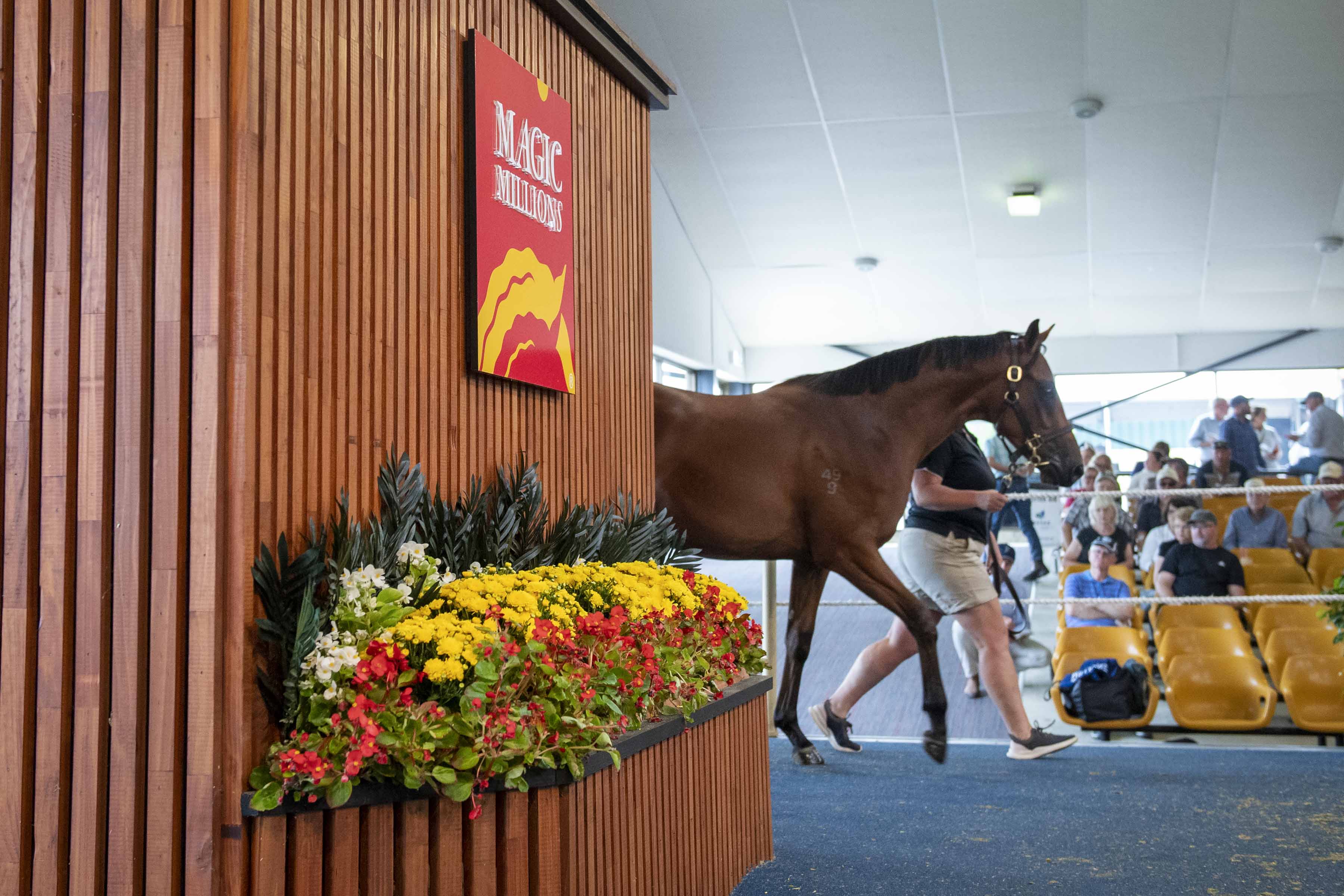 Magic Millions Adelaide Yearling Sale.