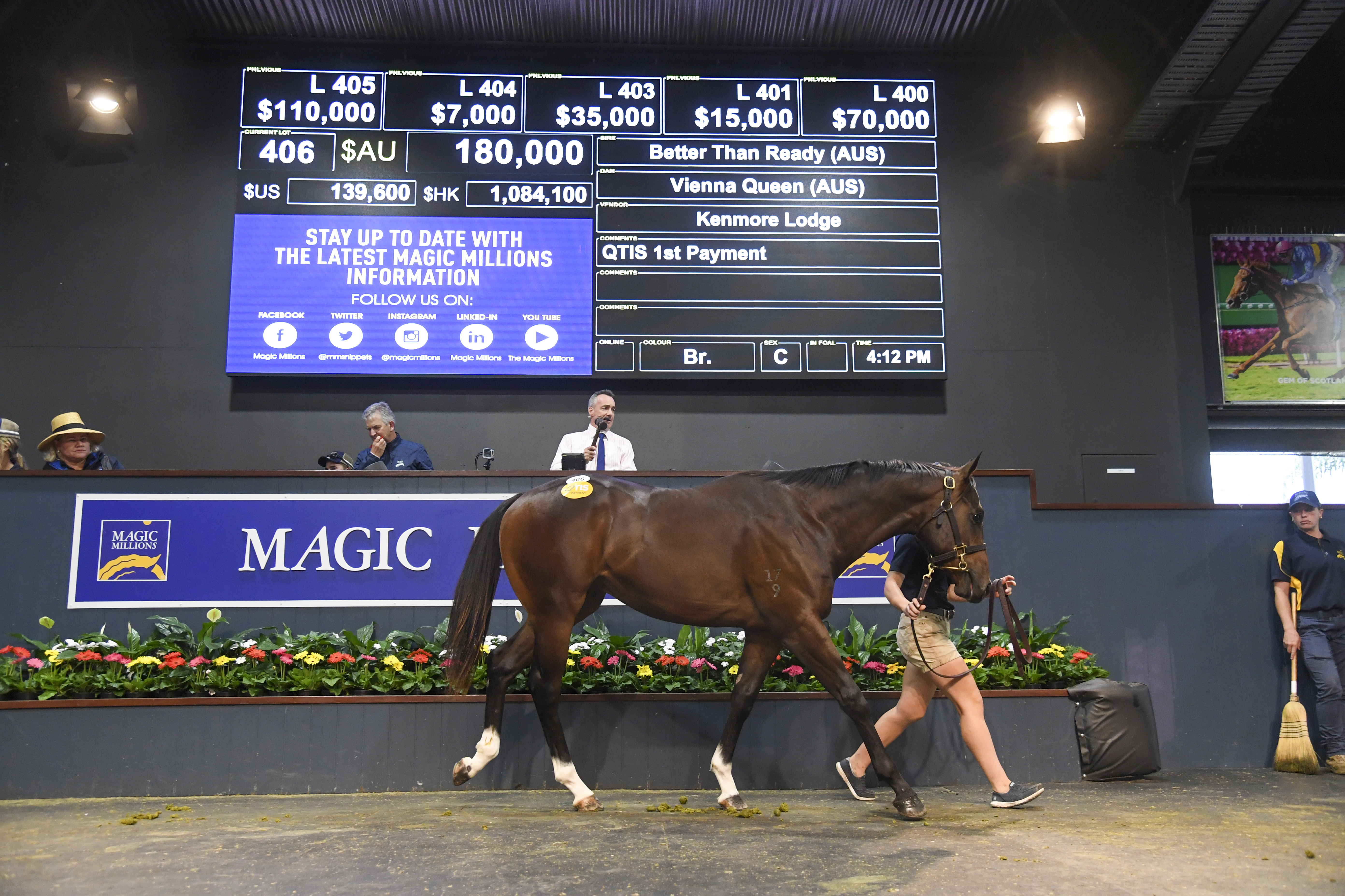 Lot 406 Better Than Ready - Vienna Queen colt. Picture: Magic Millions.