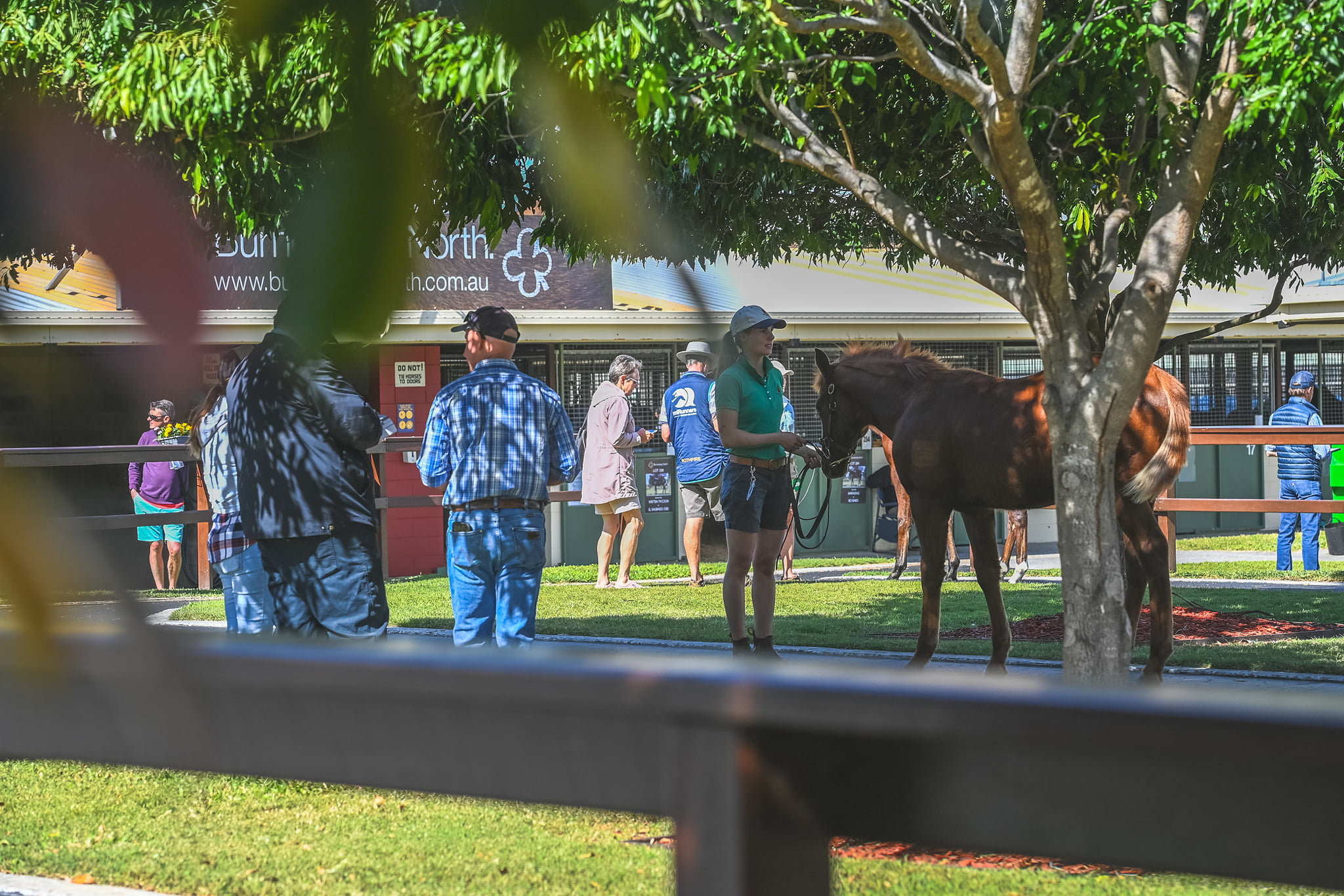 Inspections. Picture: Magic Millions.