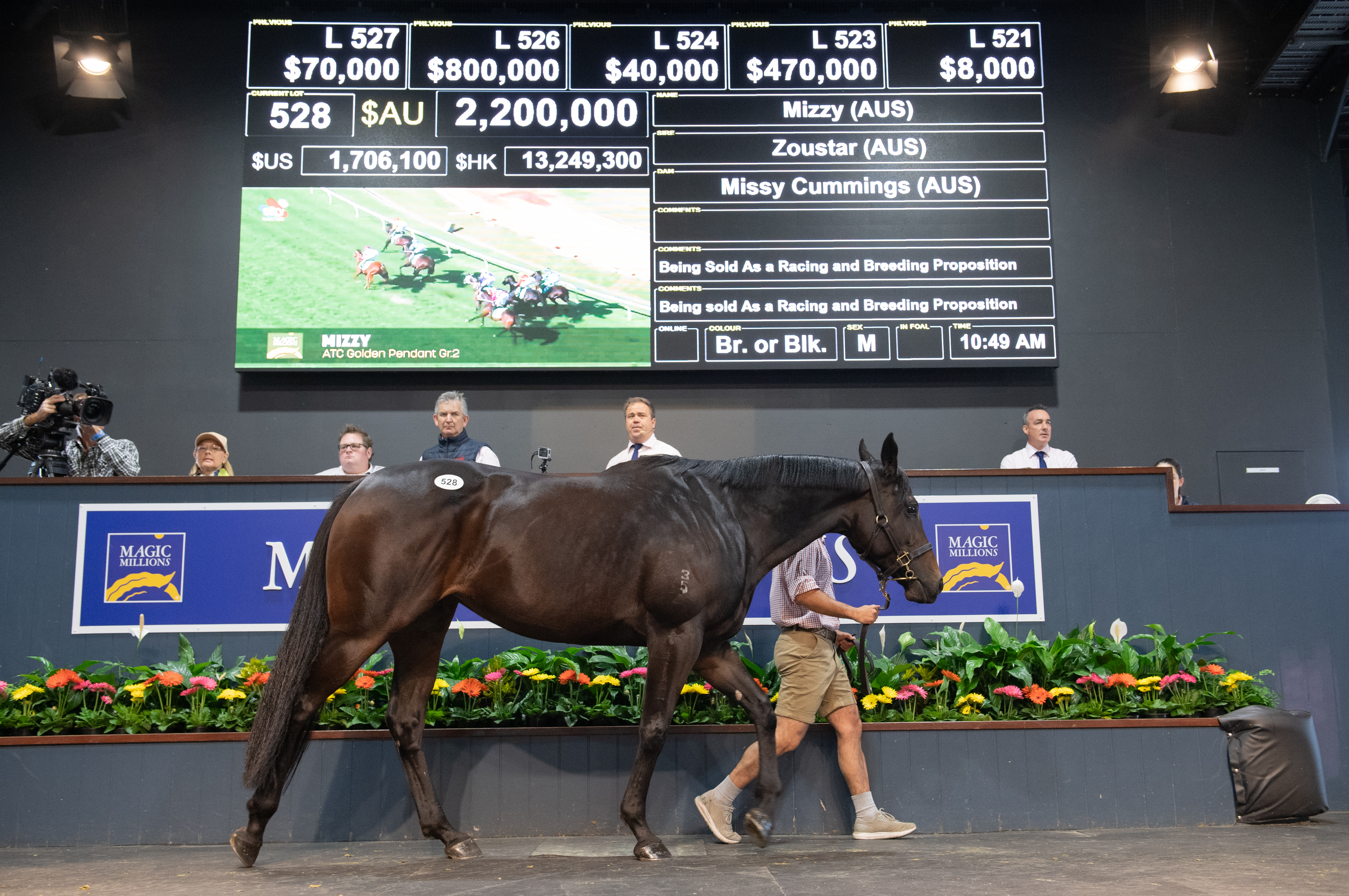 Mizzy in the ring. Picture: Magic Millions.