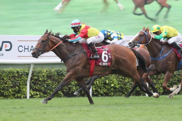 「福逸」是現時本港評分第二高的短途馬，僅次於「旺蝦王」。