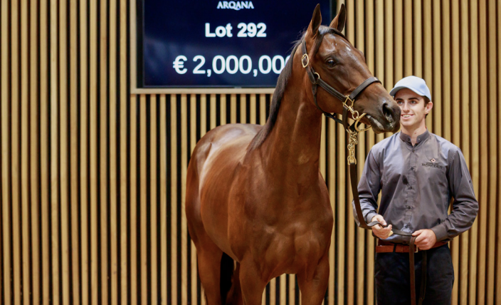 Dubawi was the sale's leading sire. Picture: Arqana.