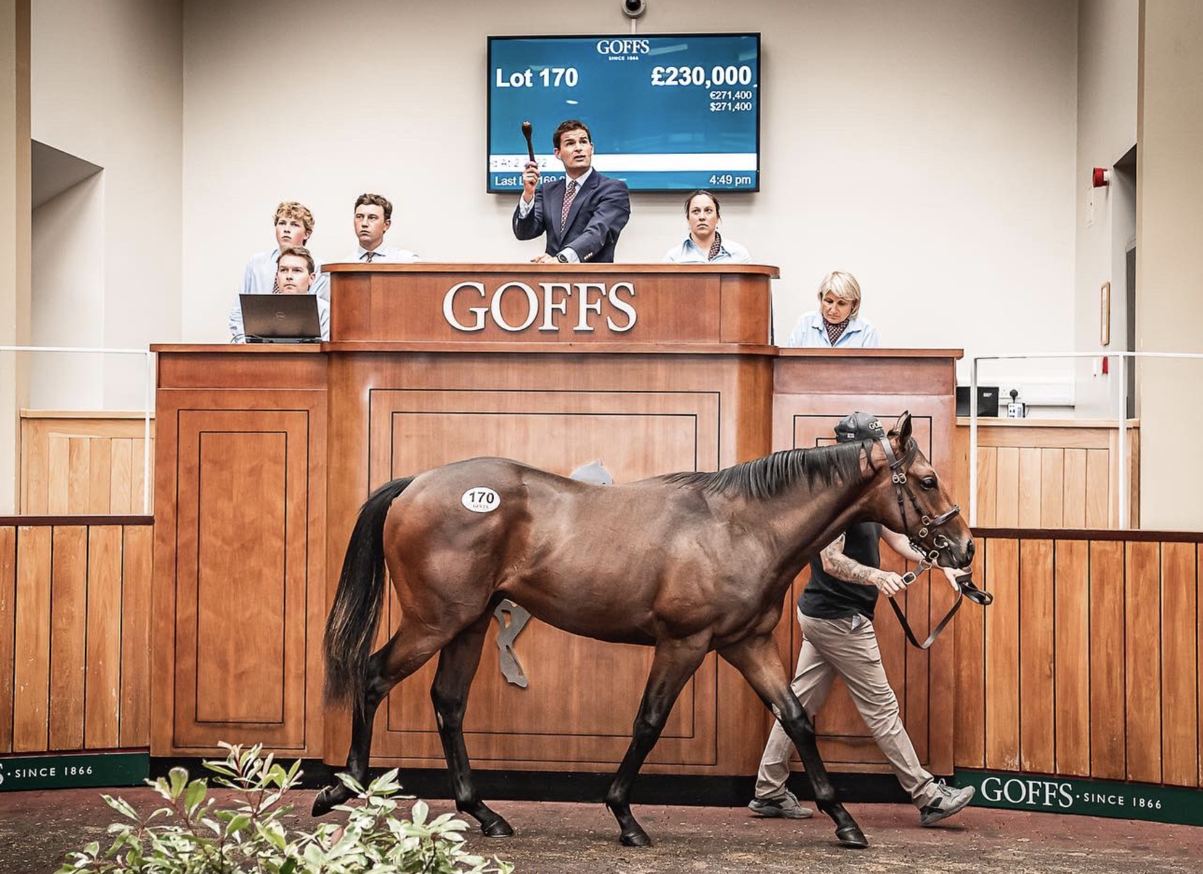 The session topping Night Of Thunder colt. Picture: Goffs UK.